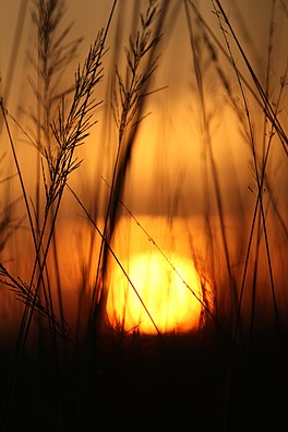 Sunset near Kaliveli lake