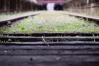 Weathered Railroad Ties of the BAT