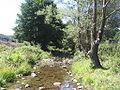 Archar river near Rabisha