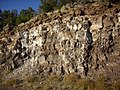 Thin lava and cinder beds of the Lobato Formation exposed in road cut southwest of Clara Peak.