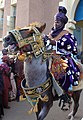杜爾巴節（英語：Durbar festival）上的騎手
