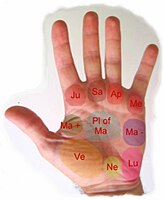 The mounts in palmistry: Jupiter, Saturn, Apollo, Mercury, Mars positive, Mars negative, plain of Mars, Luna mount, Neptune mount, Venus mount [18]