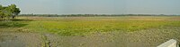 Panoramic view of crop field