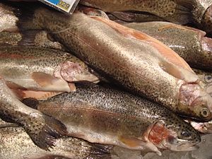 Rainbow trout displayed in a market