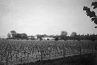 with vineyards, 1910s