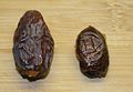 Two Dates. A Medjool date(L) and a Khadrawi date(R)