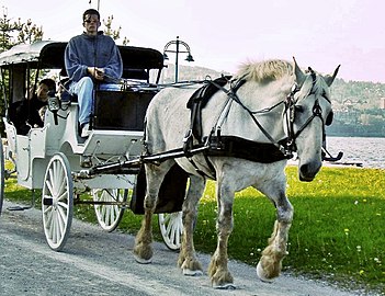 Carriage ride