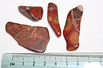 Poppy jasper: small, polished slabs, Morgan Hill, California