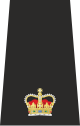 UK Police Superintendent Epaulette