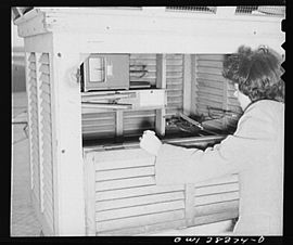 A woman taking meteorological observations