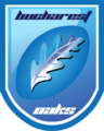 2008-2011 logo