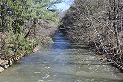 East Fork of Sinnemahoning Creek at Wharton
