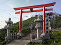 芜嶋神社入口处的黑尾鸥