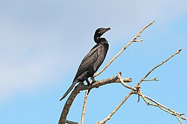 In Costa Rica