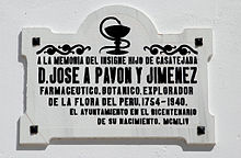 A white plaque reading: "A la memoria del insigne hijo de Casatejada, D. José A Pavón y Jimenez. Farmacéutico, botánico, explorador de la flora del Perú, 1754-1940 [sic]. El ayuntamiento en el bicentenario de su nacimiento. MCMLIV." In English: "In memory of the distinguished son of Castejada, D. José A Pavón y Jimenez. Pharmacist, botanist, explorer of flora in Peru, 1754-1940 [sic]. City Hall on the bicentennial of his birth. 1954." This incorrectly lists his death year as 1940 instead of 1840.