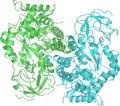 PDB: 1A3W​. Pyruvate Kinase. Yeast. Complexed with FBP, PG, Mn2+ and K+.