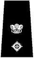 Staff Officer Grade II Area Superintendent [R09]