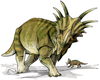 Artist's restoration of Styracosaurus albertensis.