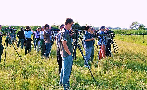 Birders at Caerlaverock