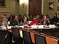 Democratic Women’s Caucus MeToo Silence Breakers hearing