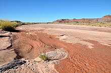 A sandy stream bed. In places, the sand is darkened by moisture.