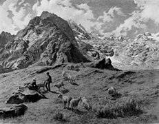 Paesaggio di Val Veny, Courmayeur: alti pascoli (Landscape of Val Veny, Courmayeur: high pastures), 1896