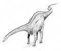 Diplodocus