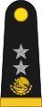 General de brigada (Mexican Army)[5]
