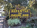 Nepenthe Phoenix Shop sign