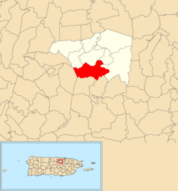 Location of Quebrada Cruz within the municipality of Toa Alta shown in red