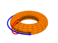 Poloidal (red) and toroidal (blue) spin directions.