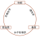 生物化学、分子生物学