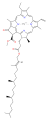 chlorophyll a