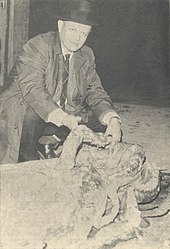 #169 (23/10/1964) Frederick Aldrich with the giant squid found floating at the surface off Conche, White Bay, Newfoundland, in October 1964 (Aldrich & Brown, 1967:4, fig.)