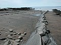 Beach, showing Carboniferous stratification