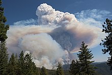 A massive gray and white column of smoke, as if from an explosion, in a blue sky, viewed from the far side of a forested canyon.