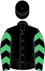 Black, emerald green chevrons on sleeves