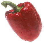 红色的菜椒