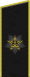 2013年至今俄罗斯海军元帅肩章