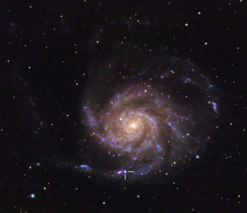 Type II supernova SN 2023ixf from May 2023