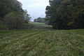 Looking north towards Crook's Copse, between High Wood, on the right, and Slockett's Copse, on the left.