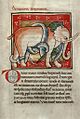 77 Verso-78 Recto Dragon: A snake-like dragon slays an elephant in this illustration from the Worksop Bestiary. The dragon kills the elephant and is identified by the bestiary as being similar to the Devil which is refers to as "the most monstrous serpent of all."