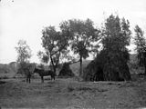 Ute wickiup used in the western regions