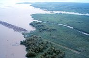 Aerial view of the Big Island Mining Project restoration site on Atchafalaya Bay