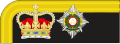 1856 to 1880 captain's rank insignia