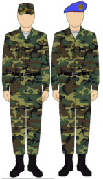 Egyptian Republican Guard camouflage uniform