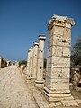 Street view (from Arch of Septimius Severus arch to Arch of Trajan)