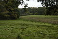 Water meadows, looking east-south east towards, on the left, Slockett's Copse, and Dirty Ground Copse.