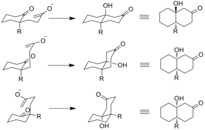Stereochemical pathways of Robinson annulation