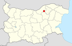 Tsar Kaloyan Municipality within Bulgaria and Razgrad Province.
